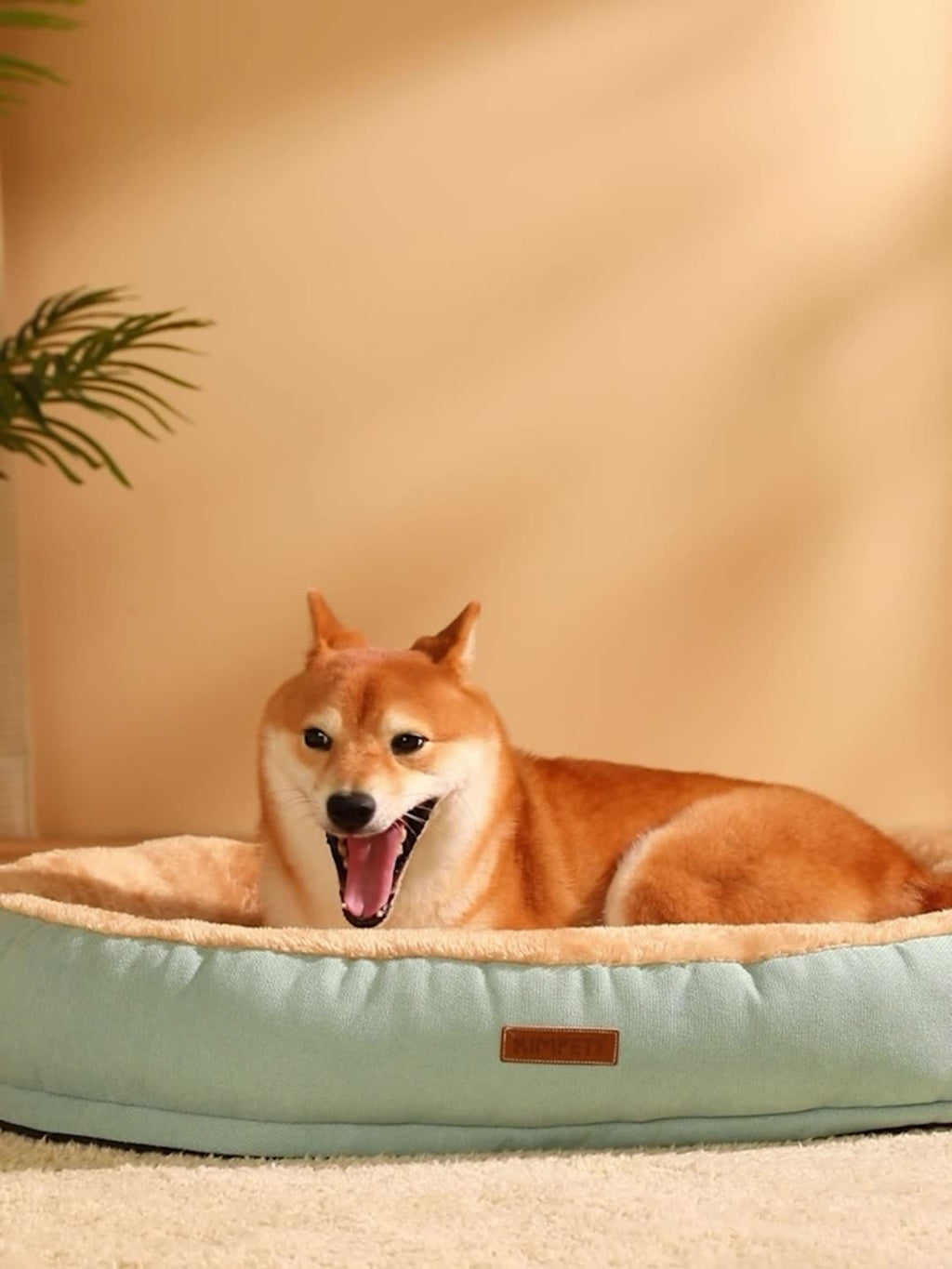 Petlicks™ Cozy Oval Pet Kennel Bed