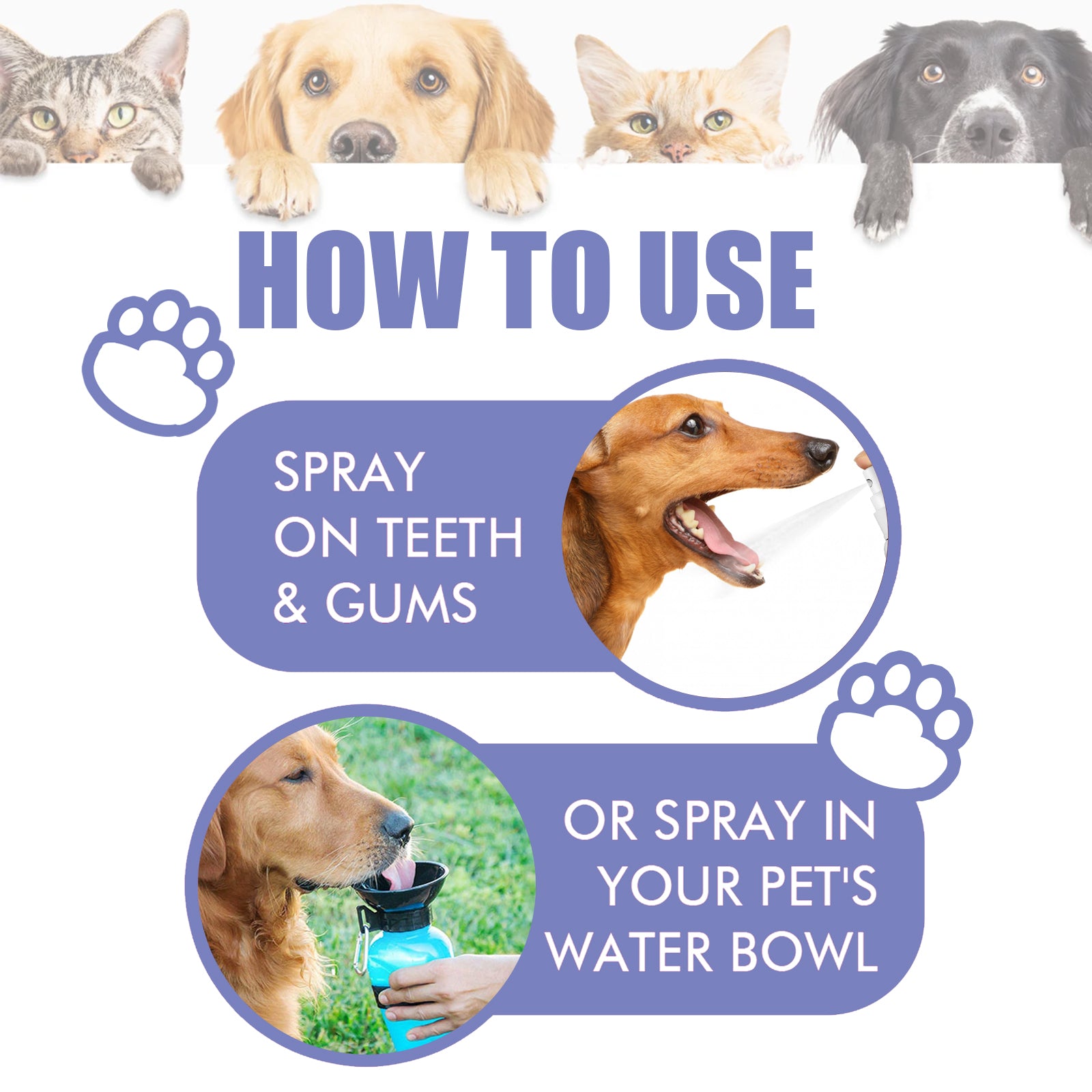 Petlicks™ Dental Care Spray for Cats