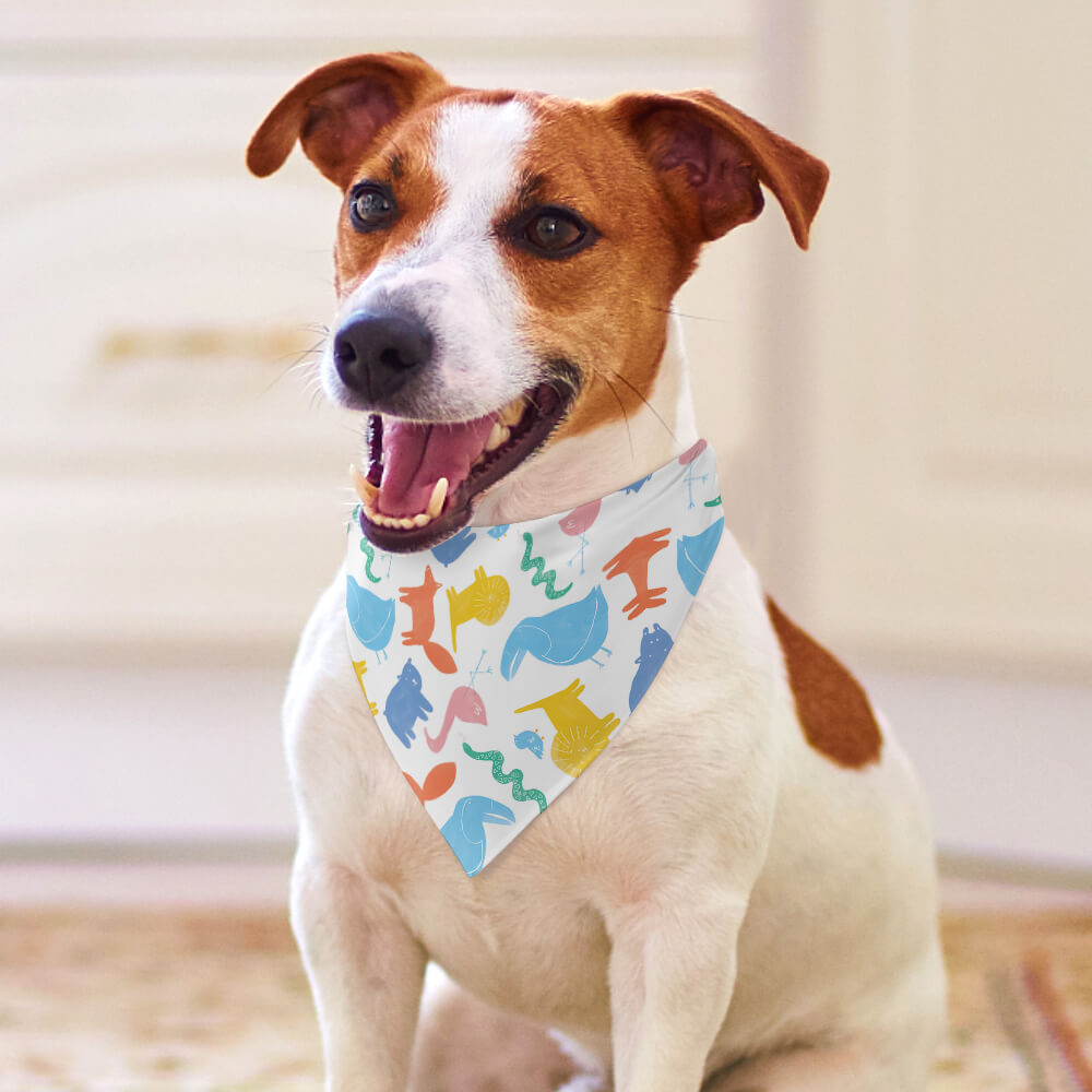 Petlicks™ Stylish Pet Bandana Bib