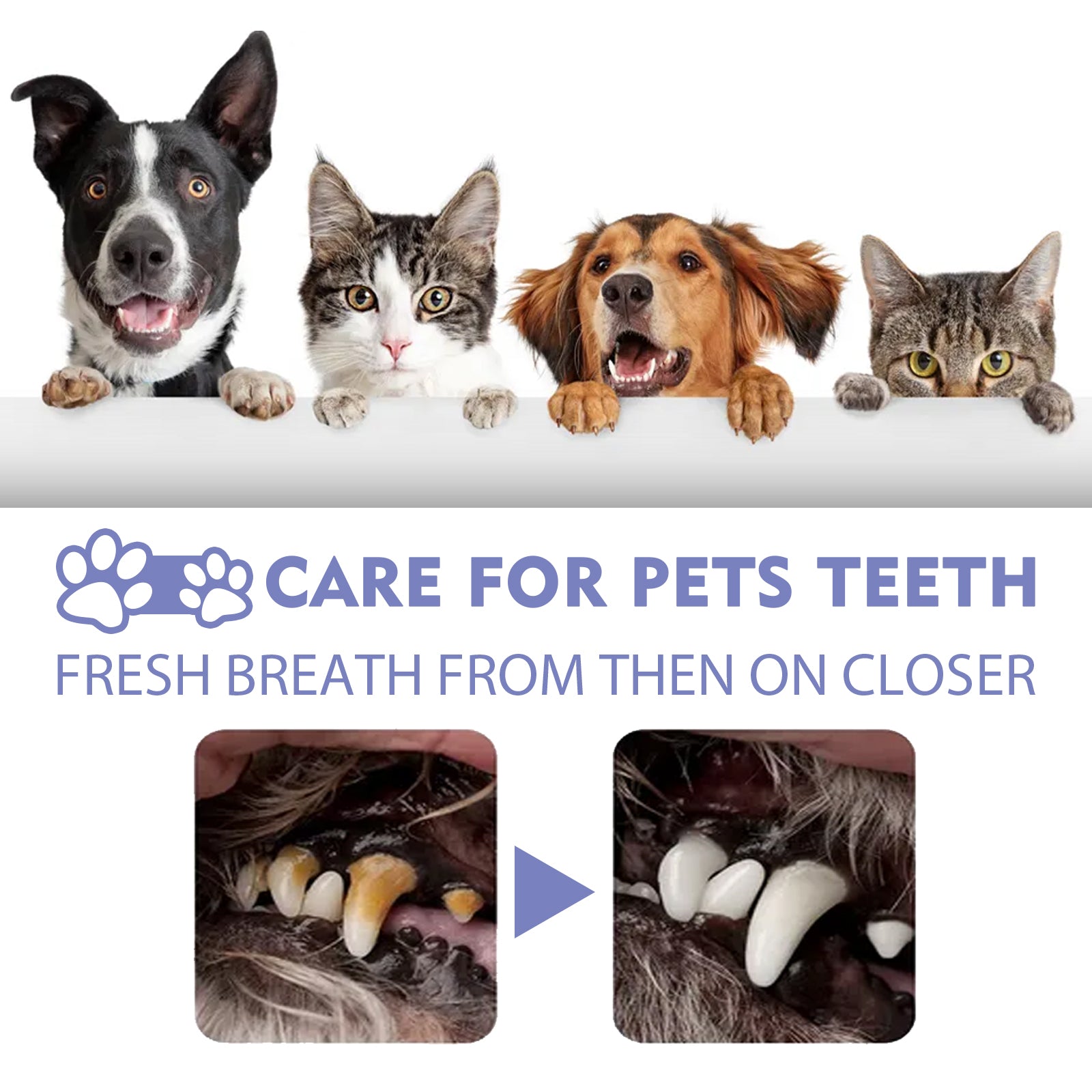 Petlicks™ Dental Care Spray for Cats