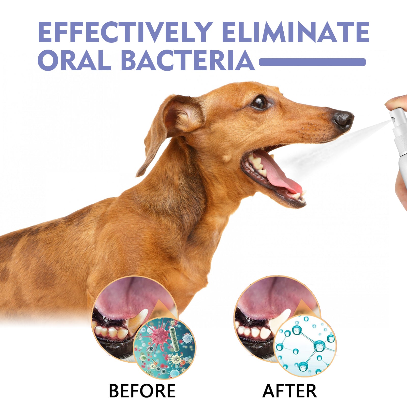 Petlicks™ Dental Care Spray for Cats