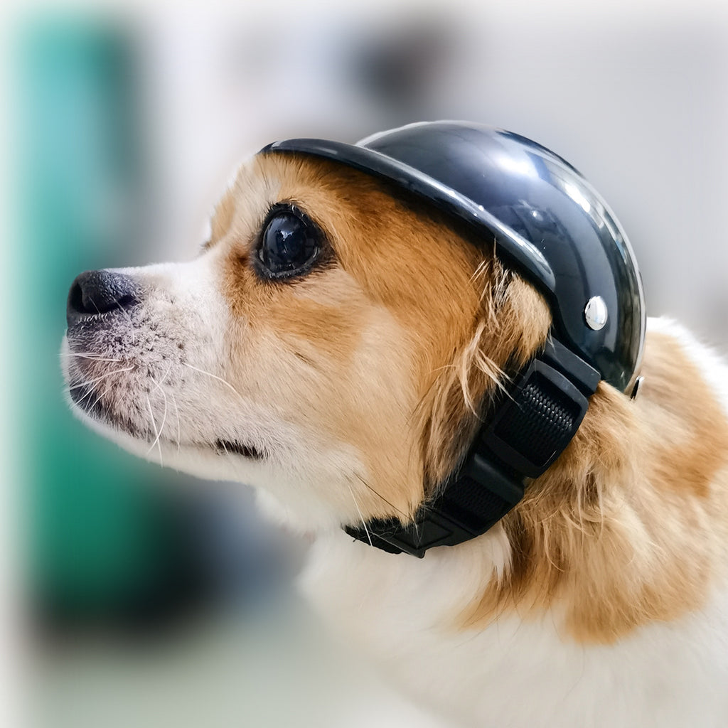 Petlicks™ Protective Pet Helmet