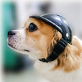 Petlicks™ Protective Pet Helmet