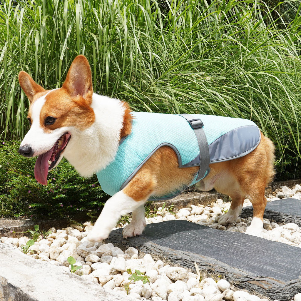 Petlicks™ Cooling Dog Vest Harness