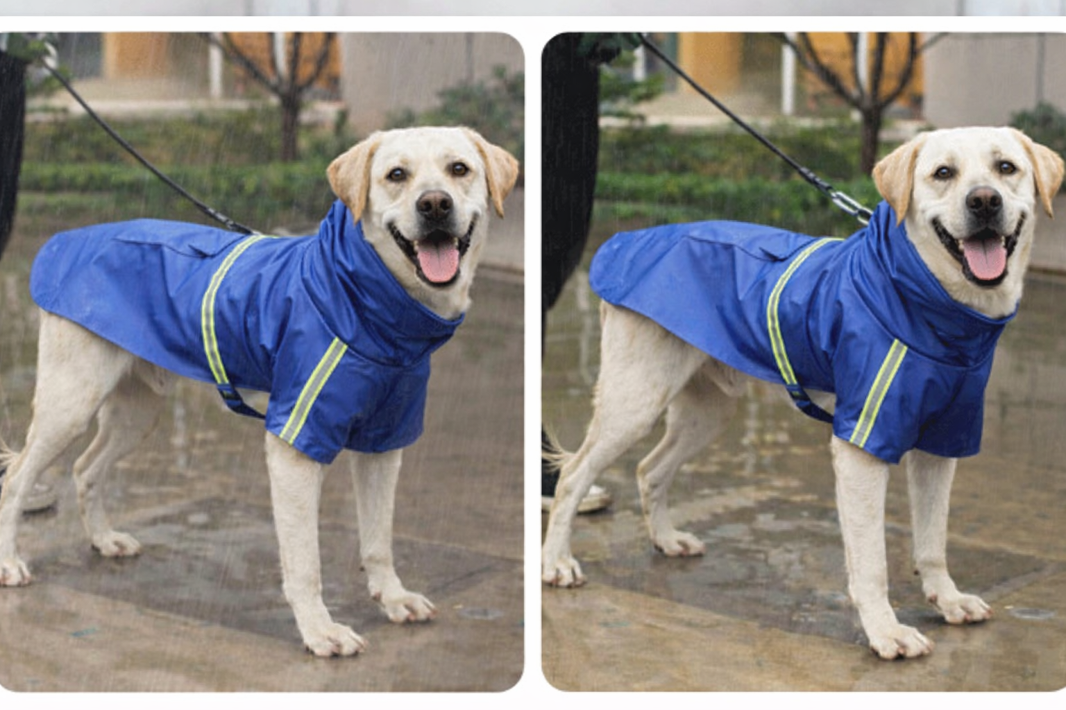 Petlicks™ Waterproof Dog Raincoat