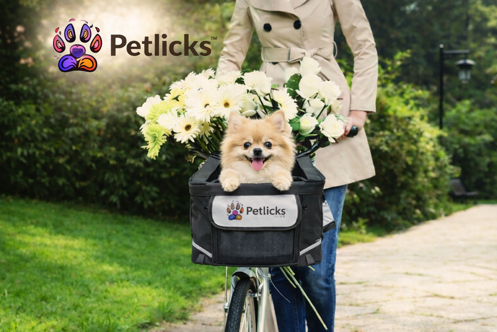 Petlicks™ Bicycle Pet Carrier Basket