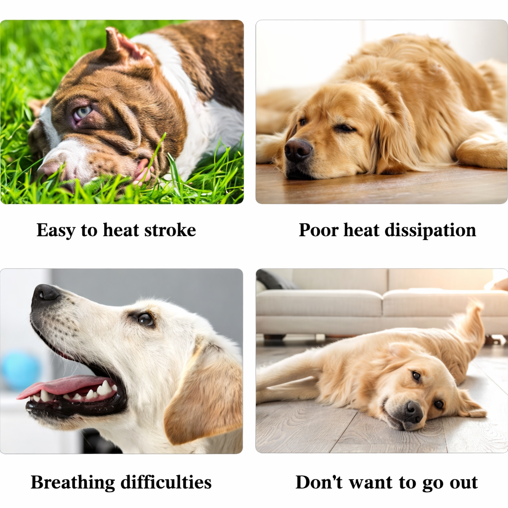 Petlicks™ Cooling Dog Vest Harness