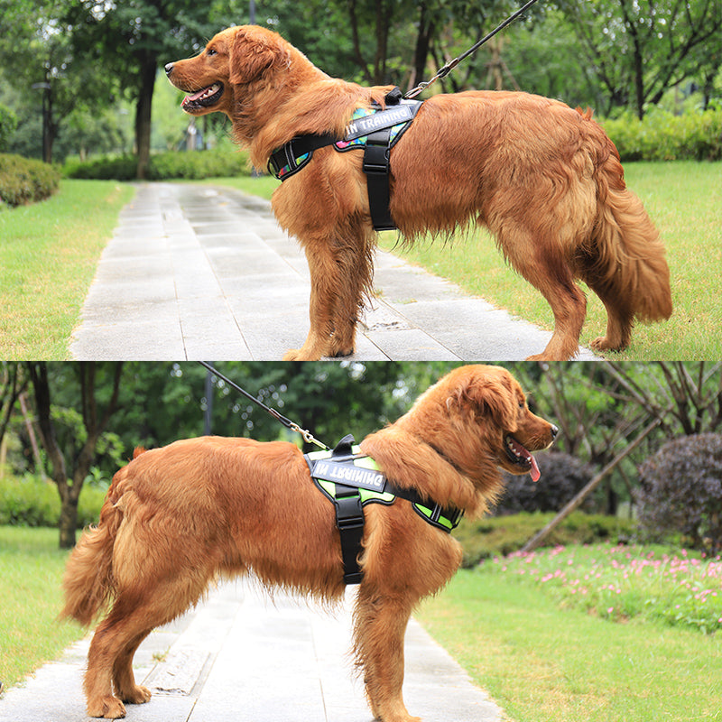 Petlicks Reflective Dog Harness™