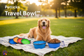 Petlicks Travel Bowl™