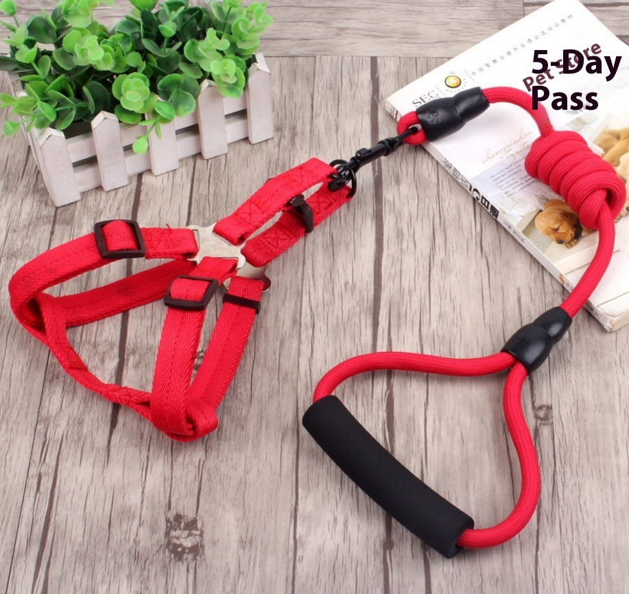 Petlicks™ Reflective Pet Collar & Harness Set