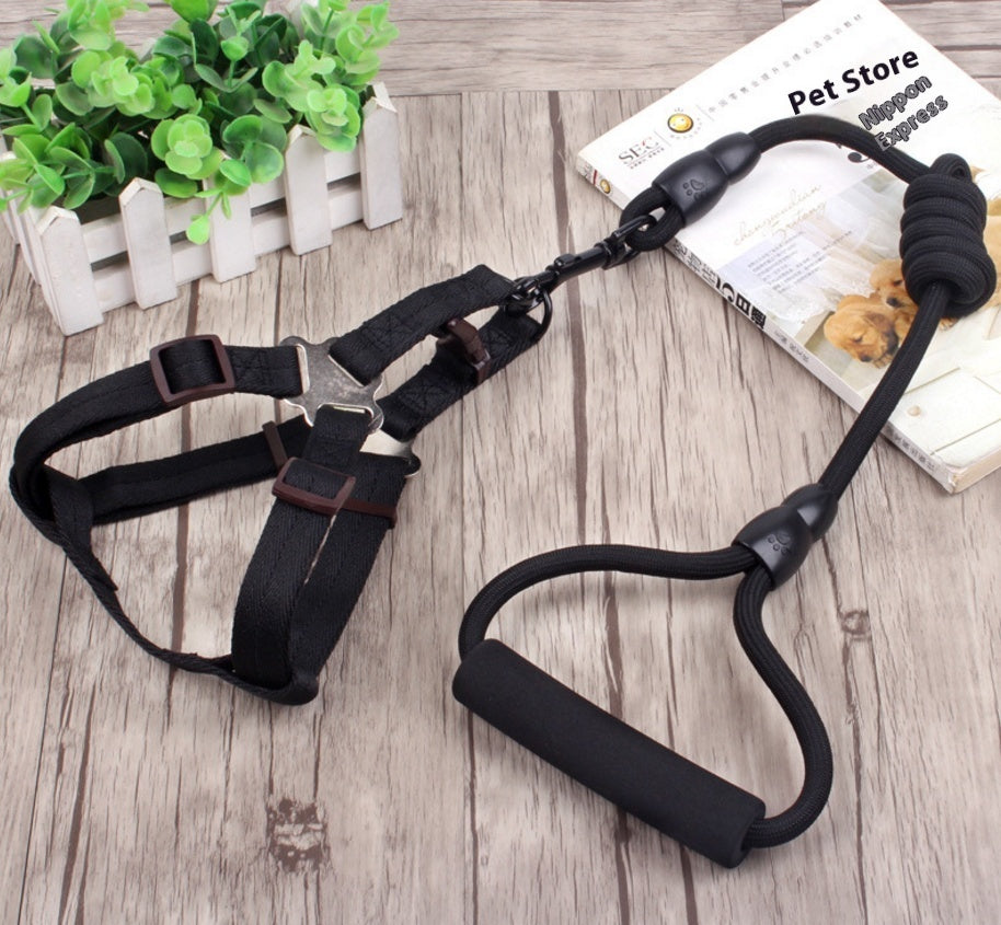 Petlicks™ Reflective Pet Collar & Harness Set